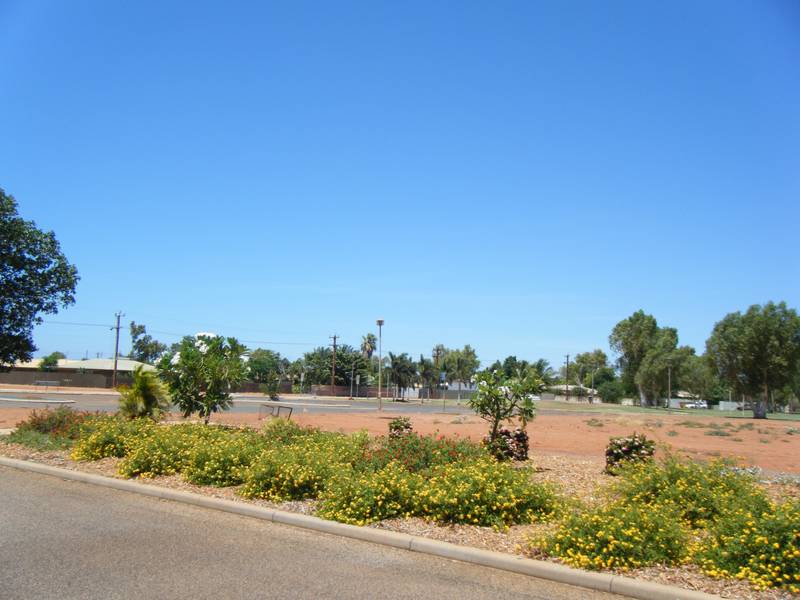 START FROM SCRATCH Picture 3