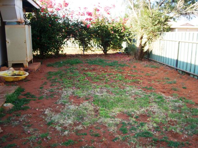 RENOVATORS DELIGHT Picture 1