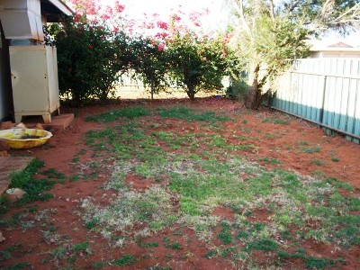 RENOVATORS DELIGHT Picture