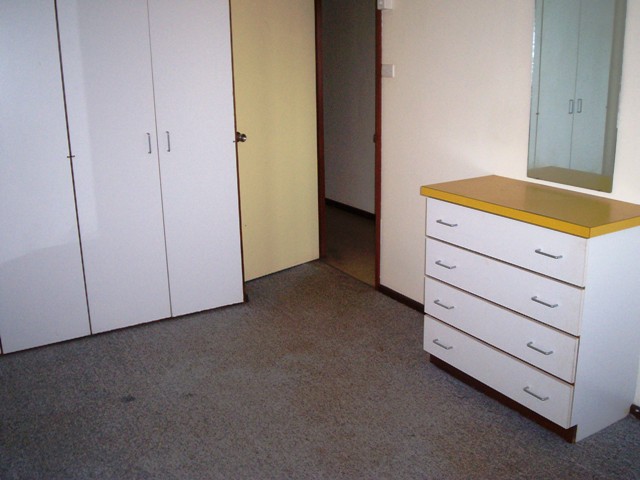 RENOVATORS DELIGHT Picture 3