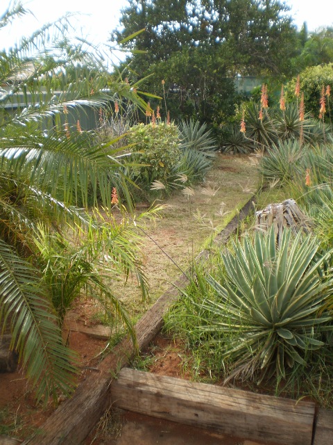 GREAT INVESTMENT OPPORTUNITY Picture 3