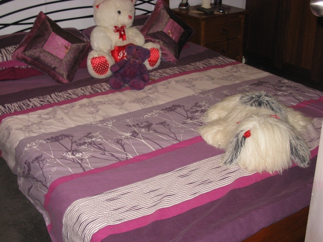 COULD THIS BE JUST WHAT YOU ARE LOOKING FOR? Picture 3