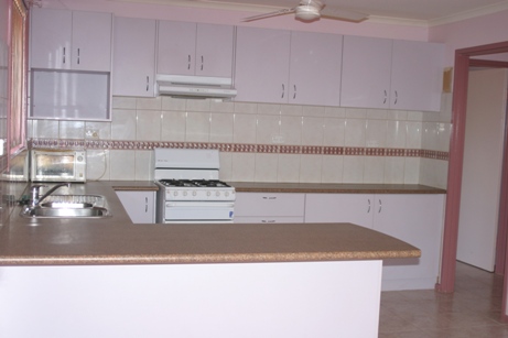 LOOK AT THE SIZE OF THIS SHED Picture 2