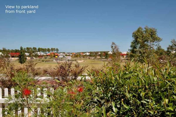 Tropical Oasis! Picture 3