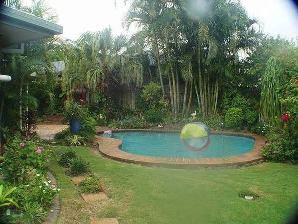 Tropical Oasis Picture 2