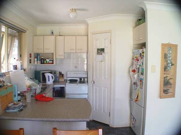 Search No More Picture