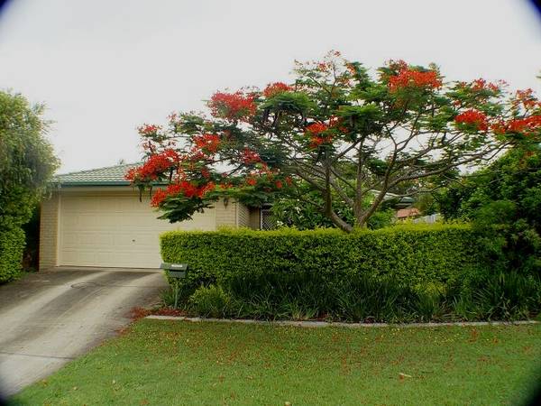 Private Peaceful Living Picture 1