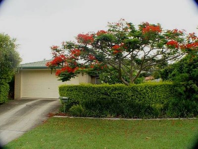 Private Peaceful Living Picture