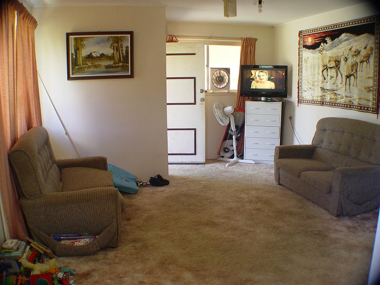 The Perfect Renovator Picture 3