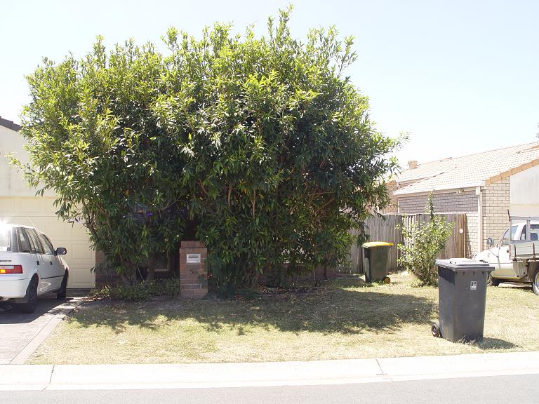 Convenient Located Picture 1