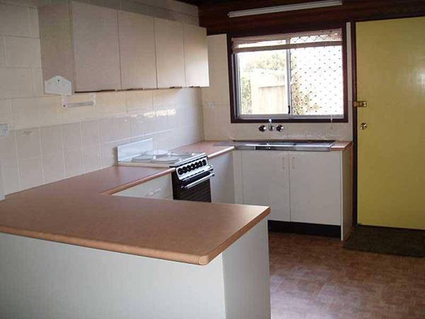 YOU WONT NEED A CAR Picture 2