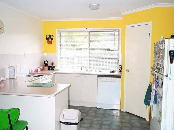 RENOVATE OR DETONATE Picture 2