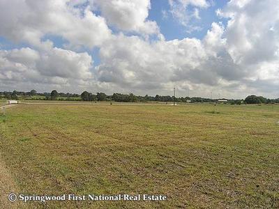 LAND GLORIOUS LAND Picture