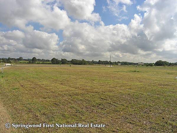 LAND GLORIOUS LAND Picture 3