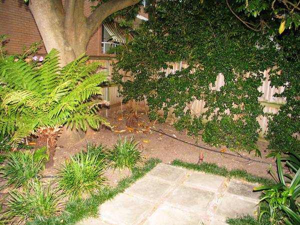 LEASED BY MICHAEL MURRAY IN FIRST INSPECTION!!!!! Picture 2