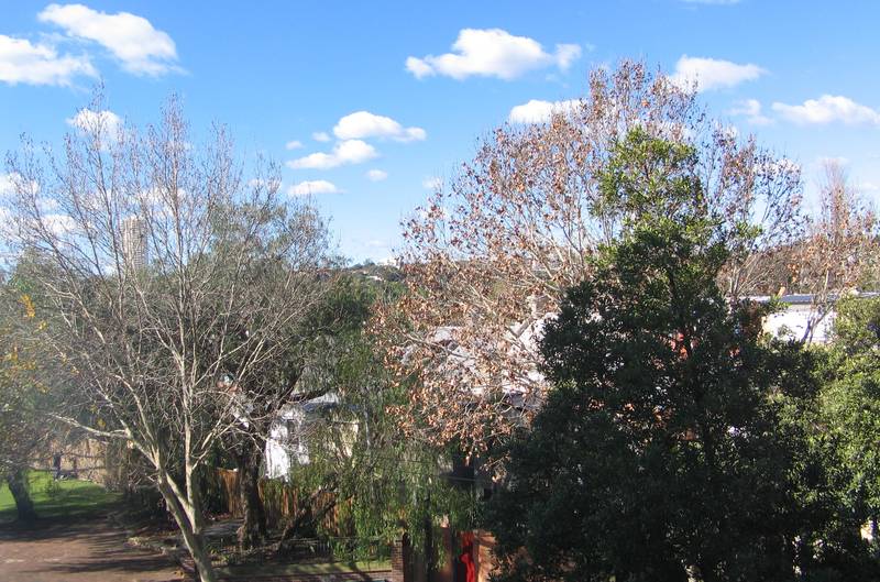 LEASED BY MICHAEL MURRAY!!!!! Picture 3