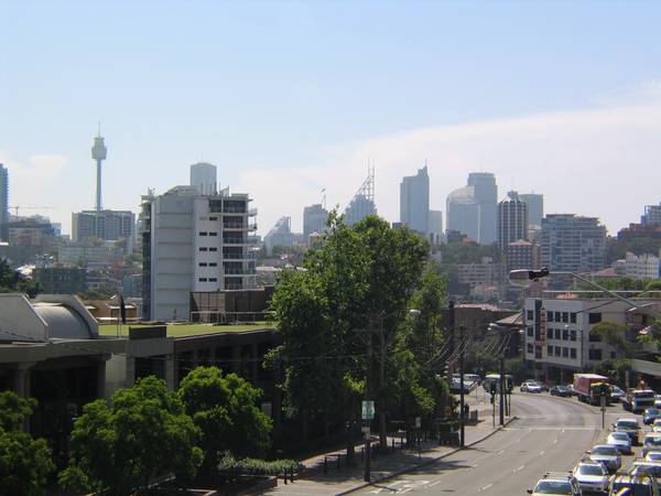 LEASED BY MICHAEL MURRAY IN ONE INSPECTION!!!!! Picture 1