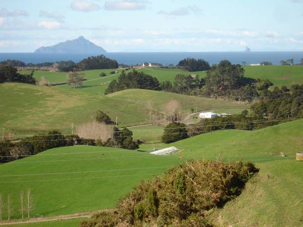 COASTAL FARM WAIPU! Picture 1