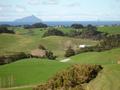 COASTAL FARM WAIPU! Picture