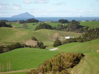 COASTAL FARM WAIPU! Picture