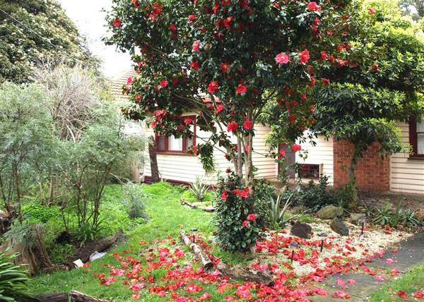 ORIGINAL 1 OWNER - LARGE 816sqm ALLOTMENT! Picture 1