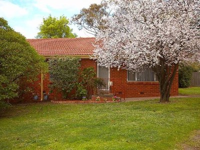 BARGAIN BUY! Picture