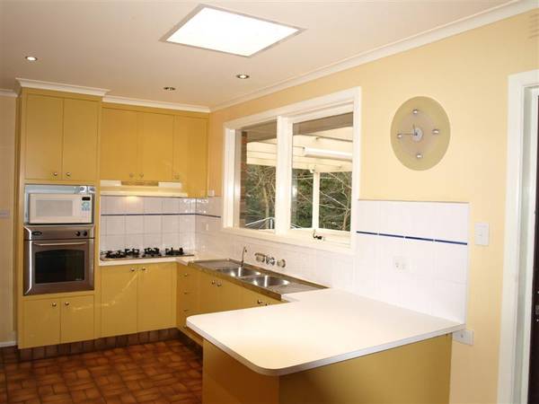 LISTEN TO THE BIRDS Picture LISTEN TO THE BIRDS Picture