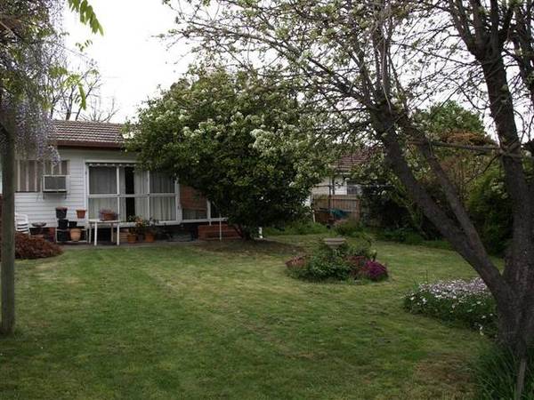 ROUGH DIAMOND Picture