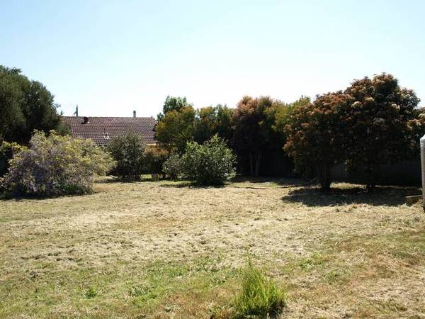 AUCTION THIS SATURDAY AT 11:00AM Picture