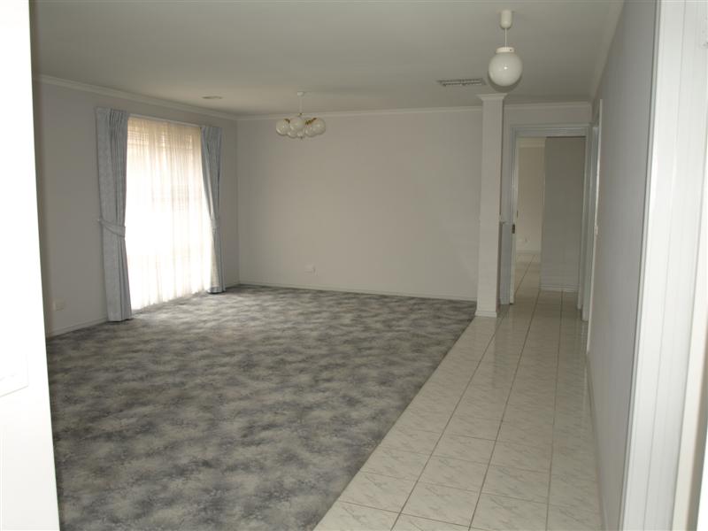 SIZE & LOCATION Picture 3