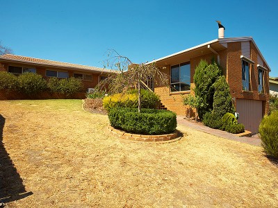 MORE THAN MEETS THE EYE! Picture