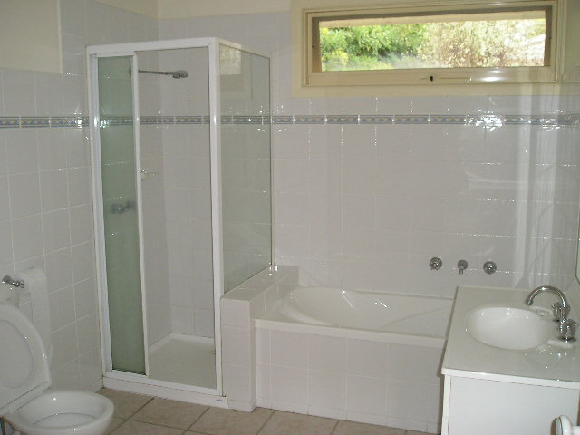 Available Now Picture 3