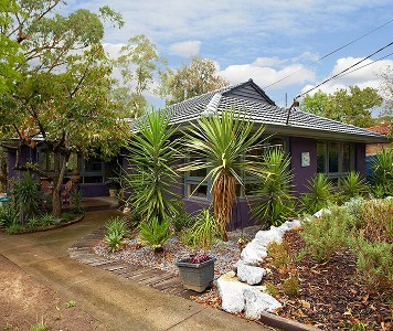 LISTEN TO THE BIRDS! Picture