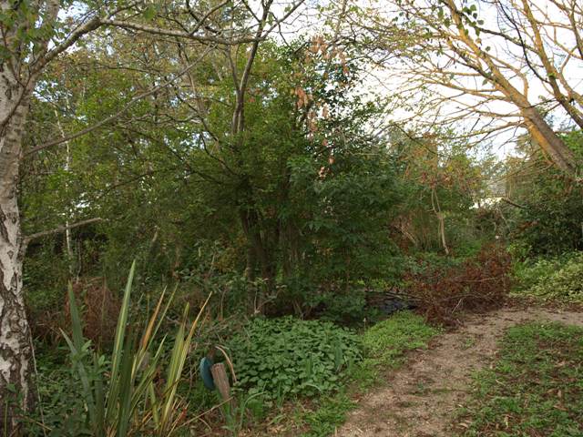 FIRST TIME OFFERED FOR SALE IN 50 YEARS! Picture 3