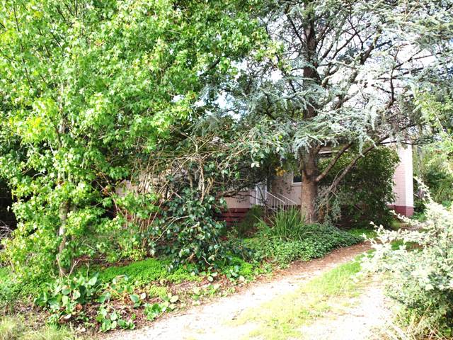 FIRST TIME OFFERED FOR SALE IN 50 YEARS! Picture 1