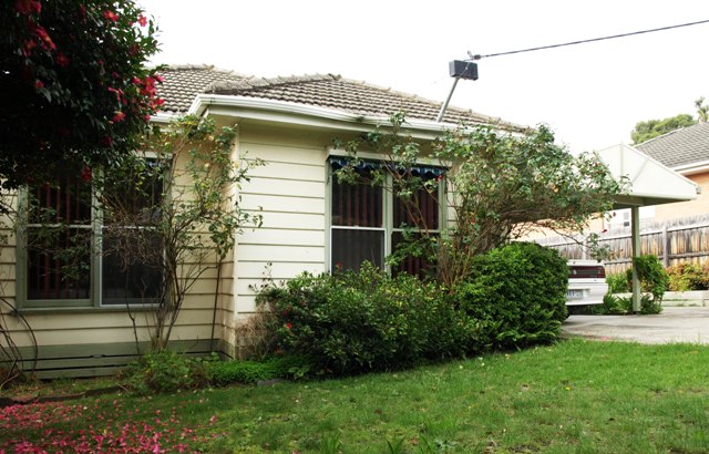 GET YOUR TEETH INTO THIS ONE! Picture 1