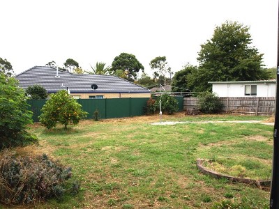 A GREAT START! Picture