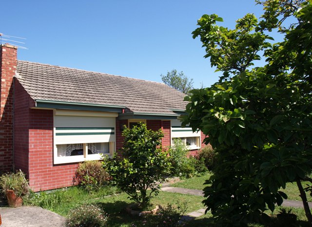 A ROUGH DIAMOND! Picture 1