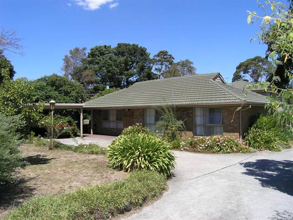 THE SIMPLE SOLUTION Picture 1