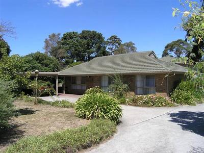 THE SIMPLE SOLUTION Picture