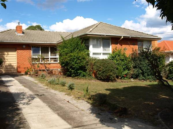 GREAT VALUE! Picture 1