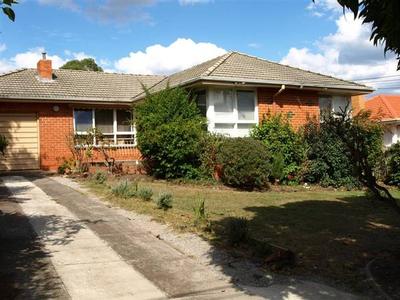 GREAT VALUE! Picture