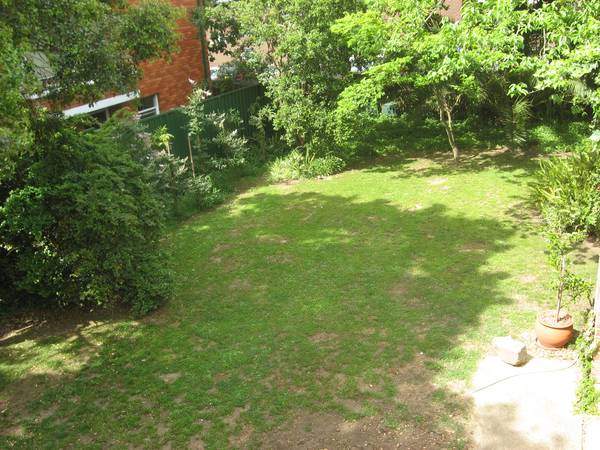 MUST INSPECT !!!! Picture MUST INSPECT !!!! Picture