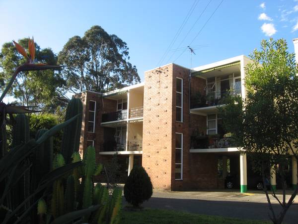 Lucy Court Picture 1