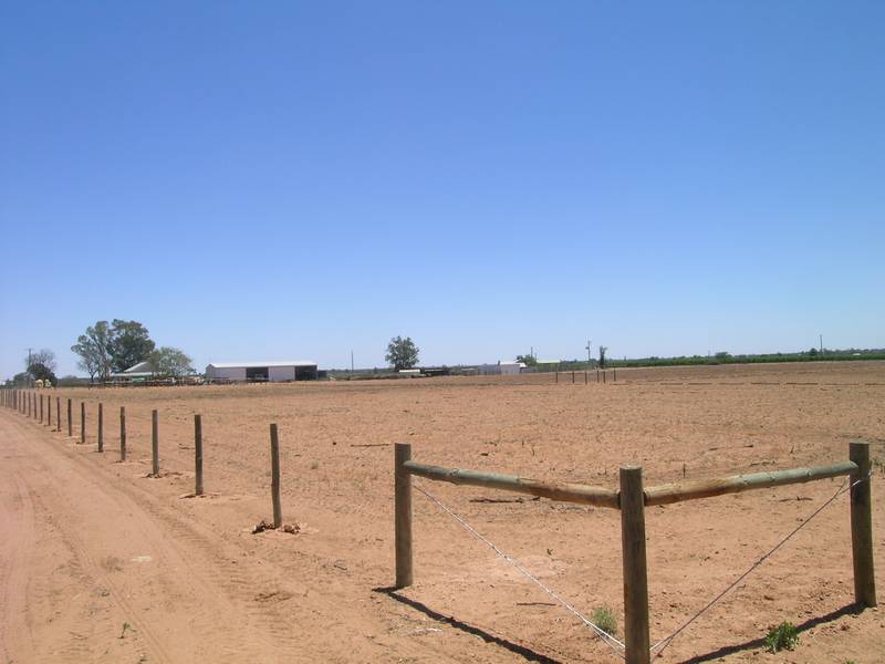 CALLING ALL HORSE LOVERS Picture 2