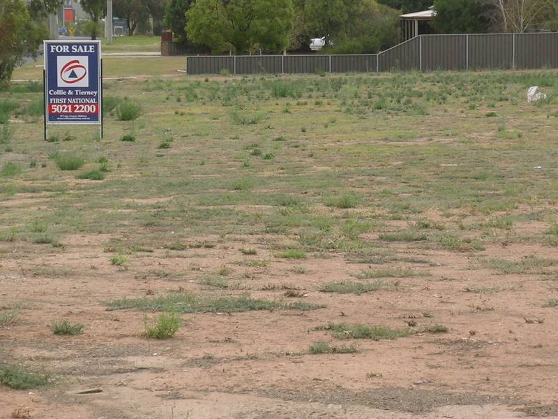 DEVELOPERS LAST CHANCE Picture 3