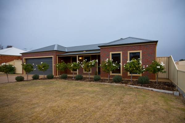 ULTIMATE ENTERTAINER Picture