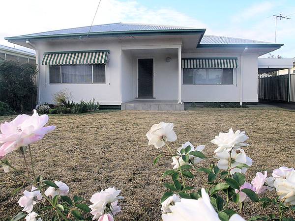 JUST IMMACULATE Picture 1