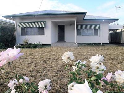 JUST IMMACULATE Picture