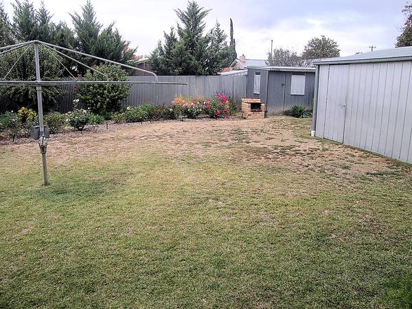 JUST IMMACULATE Picture 2